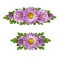 Set of purple aster flowers line arrangements Royalty Free Stock Photo