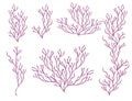 Set of purple coral seaweeds silhouettes flat vector illustration isolated on white background