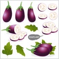 Set of purple eggplant in various style, vector format