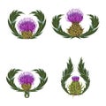 Set of purple flowers, buds, spiny stems, green leaves on white background.