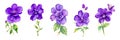 Set of Purple Flowers, Isolated On White. Watercolor style. Diffirent wild and garden Flower - Collection. Design elements Royalty Free Stock Photo