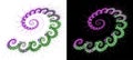 Set of purple-green lace fluffy spirals on white and black backgrounds. Graphic design elements set. 3d Royalty Free Stock Photo