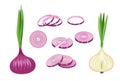Set of Purple Onions, Garden Vegetable, Eco Farm Production. Natural Plant, Veggies Culture. Healthy Food, Organic Bulb
