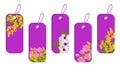 Set purple stickers and labels with spring flowers. Blossoms tulip, mimosa and sakura or cherry. Vector Royalty Free Stock Photo