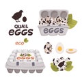 Set of quail, Eggs in cardboard boxes and Fresh farm eggs logo. Organic farm product, eco. Cooking ingredient. Flat