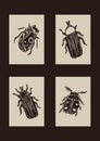 Set of quirky scandi folkart of bug clipart illustrations in woodland scandi style. Collection of linocut forest insect Royalty Free Stock Photo