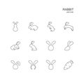 Set of rabbit line icons on white background, Vector Illustration