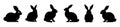 Set of Rabbit silhouettes. Easter bunnies. Isolated on white backdrop. A simple black icons of hares. Cute animals Royalty Free Stock Photo