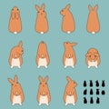 Set of rabbit sitting poses