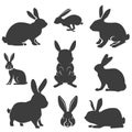 Set of the rabbits in different poses. Easter rabbits. Royalty Free Stock Photo