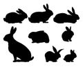 Set of Rabbits are grazing. Picture silhouette. Farm pets. Fur animals. Isolated on white background. Vector Royalty Free Stock Photo