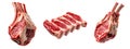 Set of rack of Lamb, isolated on white background, showcasing culinary concept Royalty Free Stock Photo