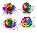 Set of rainbow roses Royalty Free Stock Photo