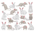 Set of rat and rabbit. Gray hares and mice cartoon vector