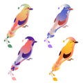 A set of ravenous birds. Isolated white background. Gradient colors of plumage. The stylized image of a bird.