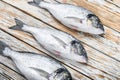 Set of raw dorado Sea bream fish over white wood table side view Royalty Free Stock Photo