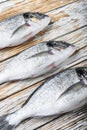 Set of raw dorado Sea bream fish over white wood table side view with space for text Royalty Free Stock Photo