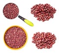 Set of raw red adzuki beans cutout on white Royalty Free Stock Photo