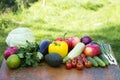 Set of raw vegetables and fruits on rustic wooden table and blur Royalty Free Stock Photo