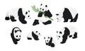 Set of realistic adult giant pandas bears and their cubs. Animals of China