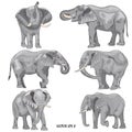 A set of realistic african elephants