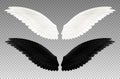 Set of realistic black and white pair of wings on transparent background as symbol of good and evil isolated vector illustration Royalty Free Stock Photo