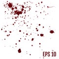 Set of realistic bloody splatters. Drop and blob of blood. Blood Royalty Free Stock Photo