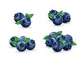 Set of realistic blueberry with green leaves. Fresh tasty blue berries, juicy sweet ingredient