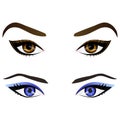 Set of realistic cartoon vector female eyes and eyebrows