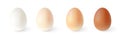 Set of realistic chicken eggs. Vector illustration isolated on white background Royalty Free Stock Photo