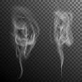 Set of realistic cigarette smoke waves. EPS 10 vector Royalty Free Stock Photo