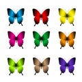 Set of Realistic Colorful Butterflies Isolated for Spring Royalty Free Stock Photo
