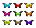 Set of Realistic Colorful Butterflies Isolated for Spring Royalty Free Stock Photo