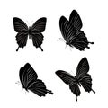 Set of Realistic Colorful Butterflies Isolated for Spring Royalty Free Stock Photo