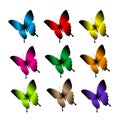 Set of Realistic Colorful Butterflies Isolated for Spring Royalty Free Stock Photo