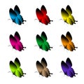 Set of Realistic Colorful Butterflies Isolated for Spring Royalty Free Stock Photo