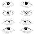 Set of Realistic Eyes hand drawn line art illustrations No fill Body Parts