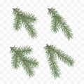 Set of realistic fir branches. Christmas tree or pine. Conifer branch symbol of Christmas and New Year isolated on transparent bac Royalty Free Stock Photo