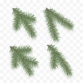 Set of realistic fir branches. Holiday ornate elements. Christmas tree or pine. Conifer branch symbol of Christmas and New Year Royalty Free Stock Photo