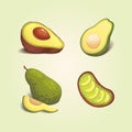 Set realistic fresh avocado fruit. Slice and whole avocados. Vegan food vector illustration in cartoon style. Royalty Free Stock Photo