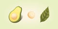 Set realistic fresh avocado fruit. Slice and whole avocados. Vegan food vector illustration in cartoon style. Royalty Free Stock Photo