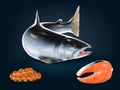 A set of realistic fresh salmon,meat,egg Royalty Free Stock Photo