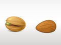 Peeled almond and cracked pistachio with peel set. Royalty Free Stock Photo