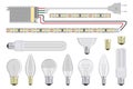 Set of realistic Light Bulb. Incandescent and fluorescent energy saving light bulbs. Vector 3D light bulbs set. Glowing