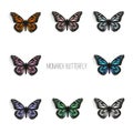 Set of realistic monarch butterflies in different colors.