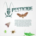 Set of realistic pest insects and template bodycopy vector illustration Royalty Free Stock Photo