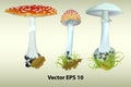 Set of realistic poisonous mushrooms with leaves and moss. Amanita phalloides and Amanita muscaria