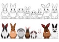 Set of realistic rabbits border