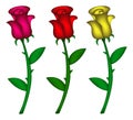 Set of realistic roses. Vector illustration on white background. Created with mesh tool.