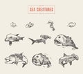 Set realistic sea creatures drawn vector sketch Royalty Free Stock Photo